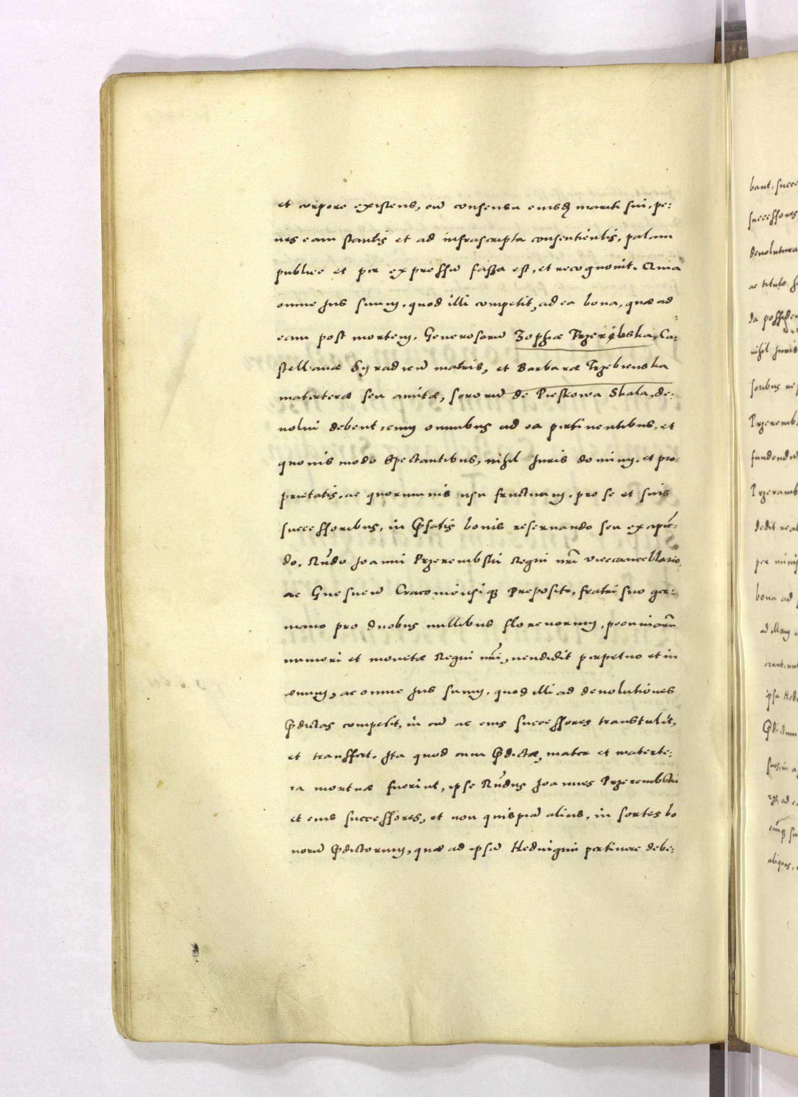 PL_1_4_1-087_0263