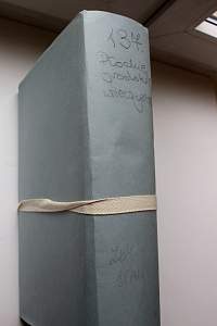PL_1_24_1_137.JPG