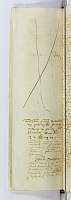 PL_1_23-1-004_0526.jpg